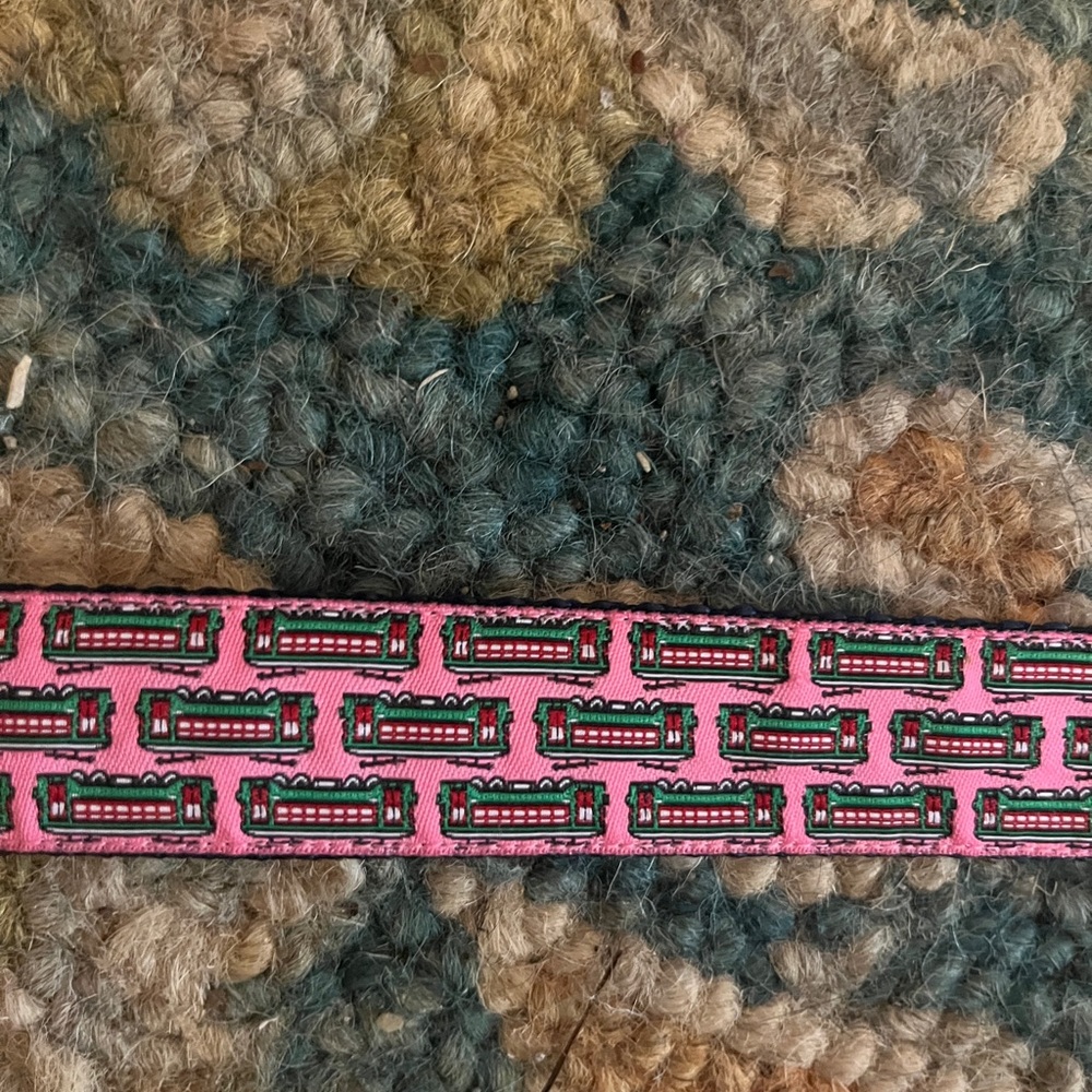 Pink and Green Streetcar Dog Leash